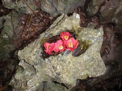 c0180460_19423552.jpg