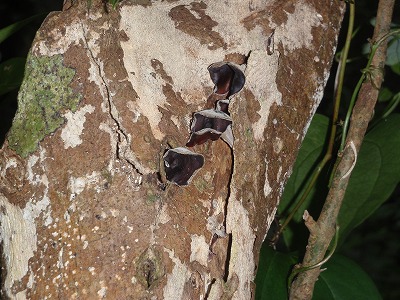 c0180460_194373.jpg