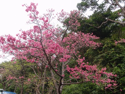 c0180460_19471662.jpg