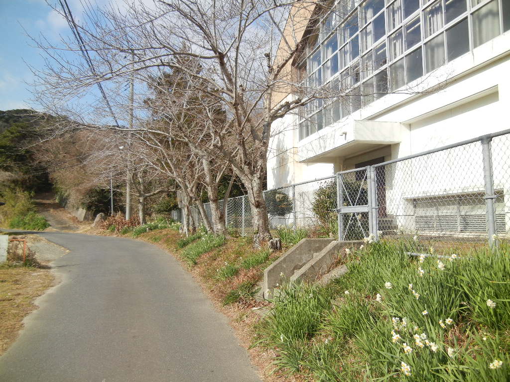 2012年2月5日(日)今日も海まで・・・_f0060461_1349277.jpg