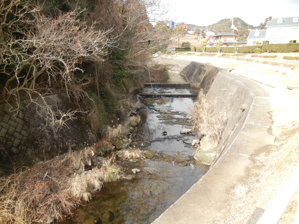 2012年2月5日(日)今日も海まで・・・_f0060461_1350551.jpg