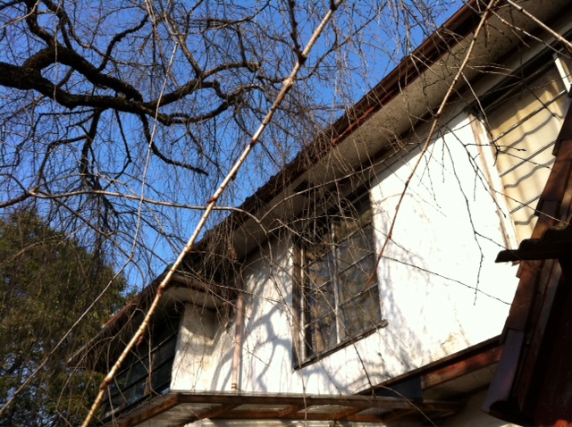 e0125762_9192876.jpg