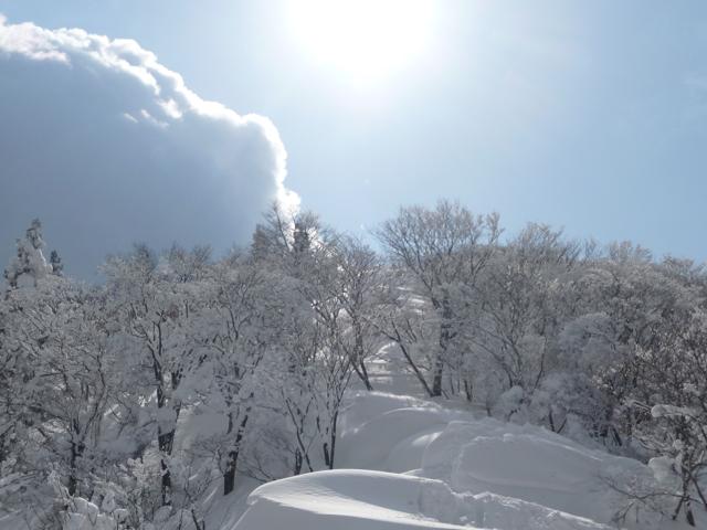 e0187064_1832540.jpg