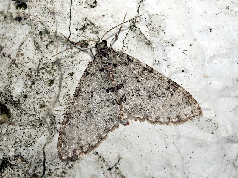 b0130166_21294943.jpg
