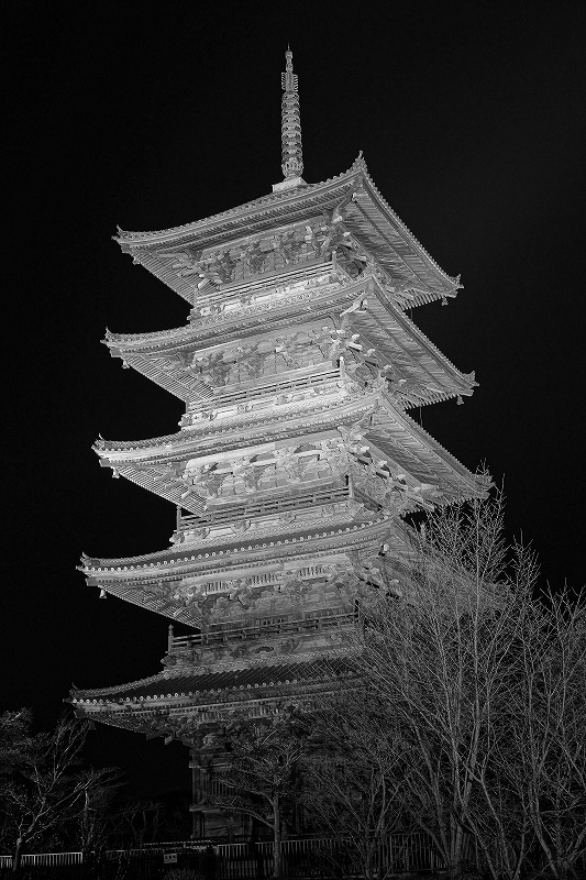 b0198768_15515832.jpg