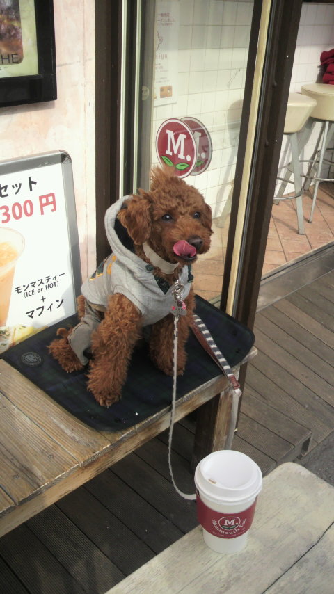 リチャードくん_a0075684_2342913.jpg