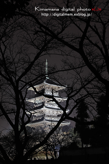 備中国分寺　ライトアップ　2/4_c0083985_21344140.jpg