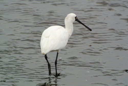 a0214490_15584330.jpg
