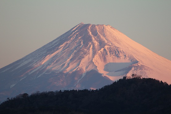 b0107691_934866.jpg