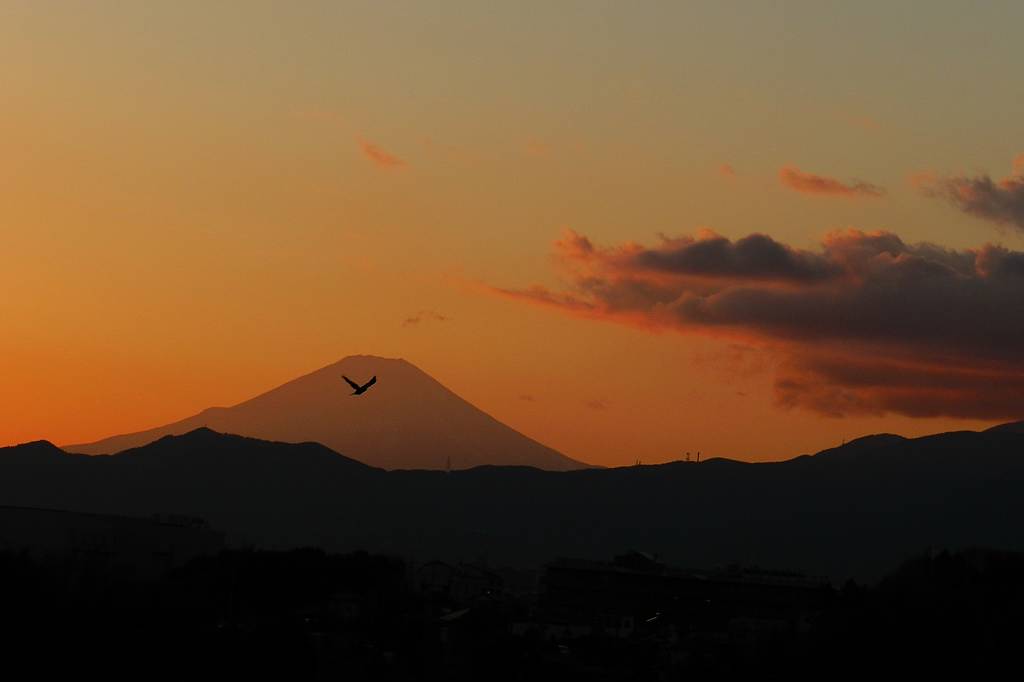b0024798_8454752.jpg
