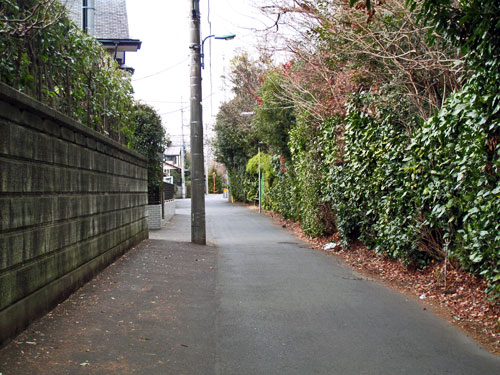 ほとんど痕跡のない、深大寺用水西堀上流部〜深大寺用水と入間川を紐解く(7)_c0163001_23554440.jpg
