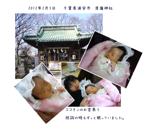 c0051105_05761.png