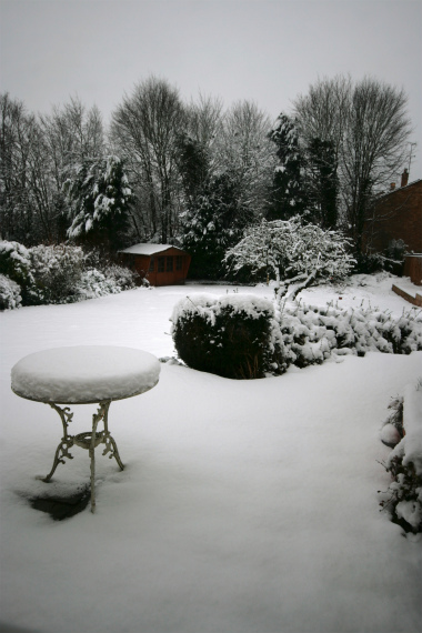 初雪_a0215008_1933252.jpg