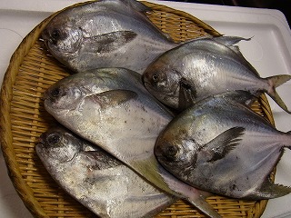 マナガツオ丸ごと_f0157910_1447184.jpg