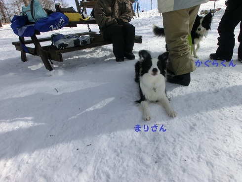 毛玉会　～ 軽井沢で雪あそび ♪　～_a0200311_177397.jpg