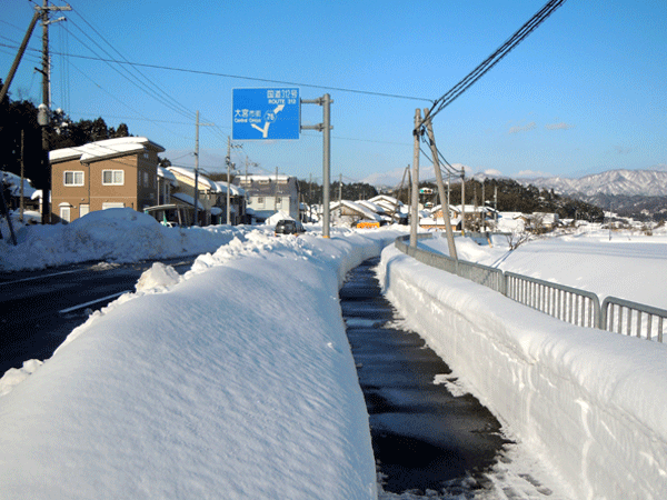 近年にない大雪・・・・・_b0159611_22413897.gif