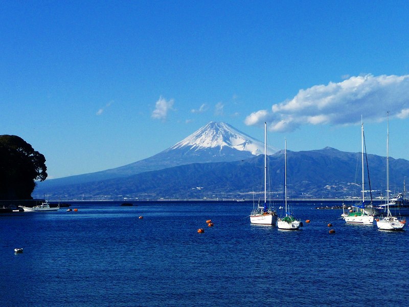 f0182513_21215367.jpg