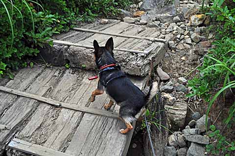 避暑地へGO　その８　　一切経山登山_a0094015_1165683.jpg