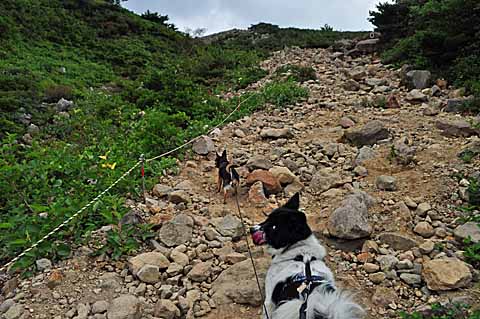 避暑地へGO　その８　　一切経山登山_a0094015_1171913.jpg