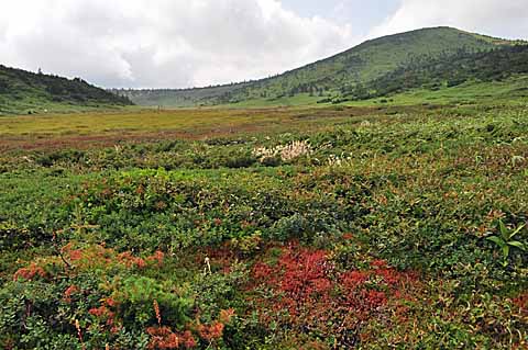 避暑地へGO　その１１　　一切経山下山　避暑終了_a0094015_19235353.jpg