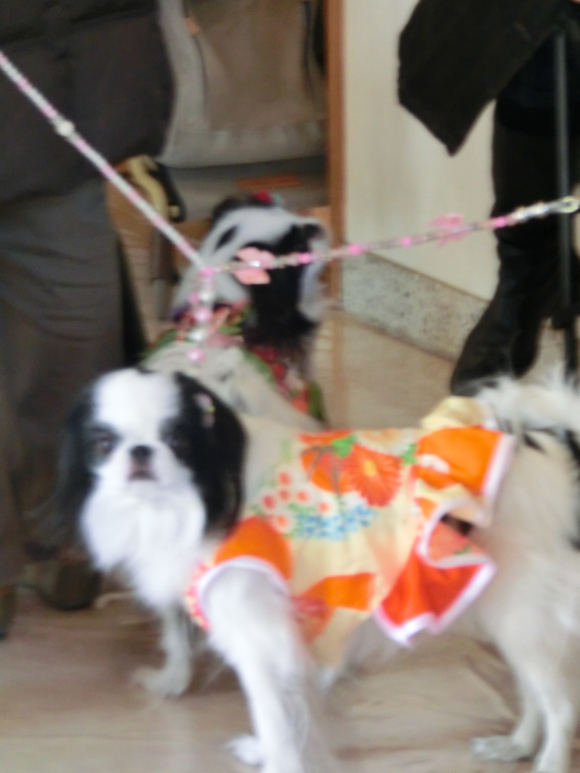 c0200916_17264512.jpg