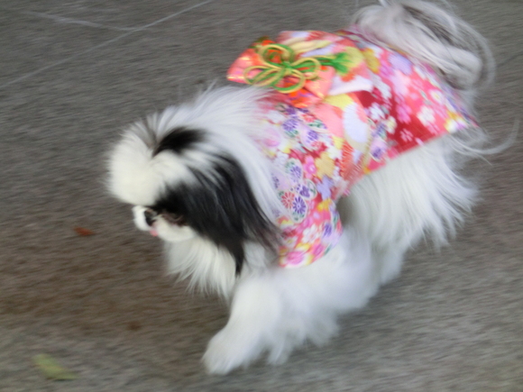 c0200916_1781770.jpg