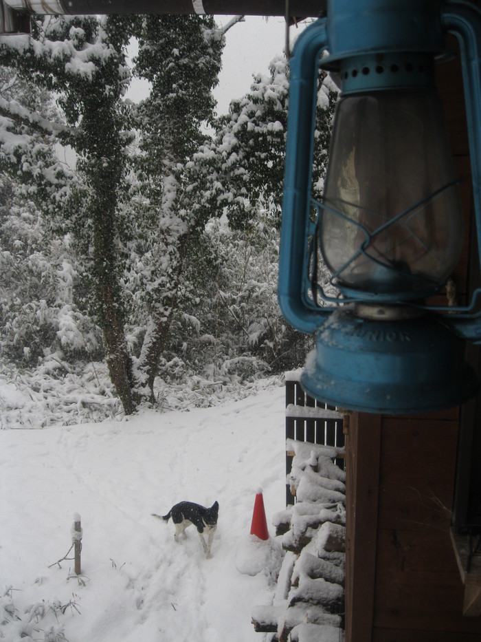 雪景色_a0125419_1054711.jpg