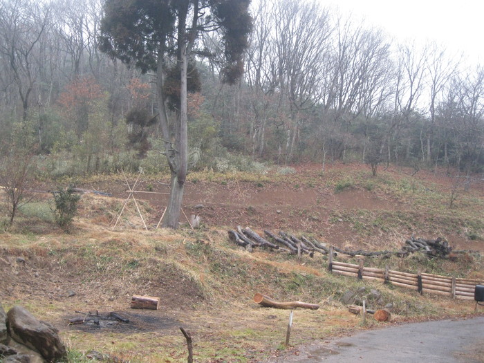 野生の生活☆_a0125419_1093458.jpg