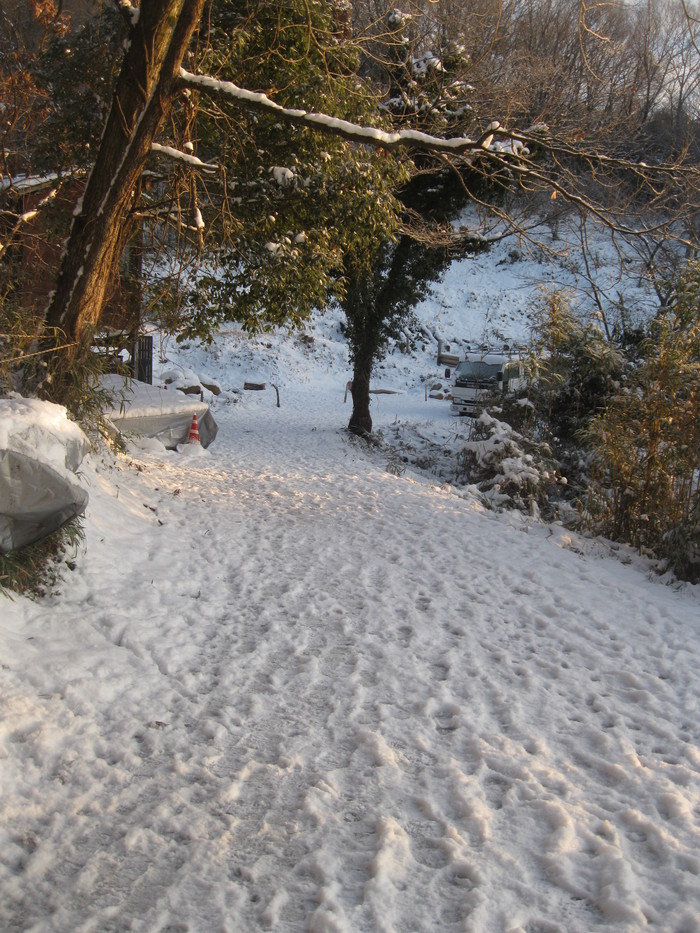 下山不可能?_a0125419_114146100.jpg