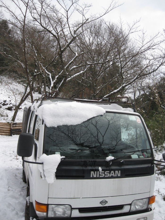 下山不可能?_a0125419_11542863.jpg