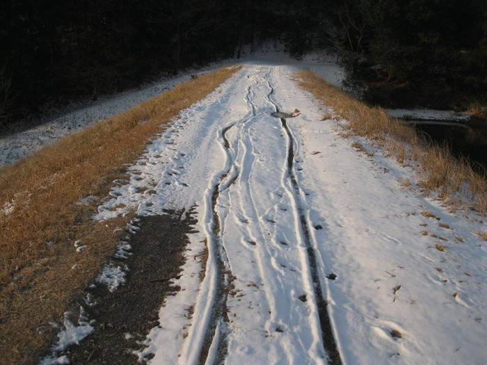 雪解けかな??_a0125419_12233316.jpg