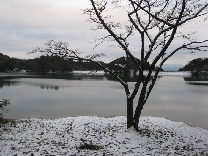下山不可能?_a0125419_128294.jpg