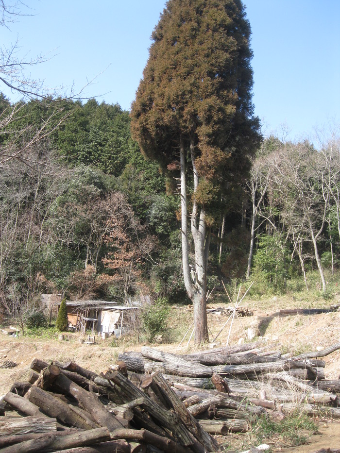 日田で「新年会」☆_a0125419_93495.jpg