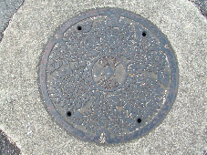 f0090719_753564.jpg