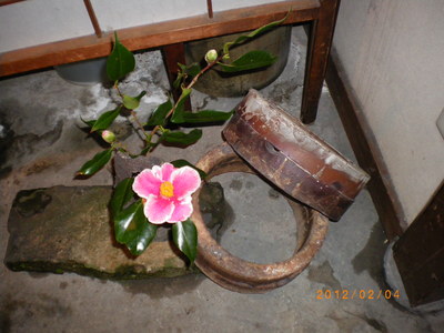 a0238324_965930.jpg