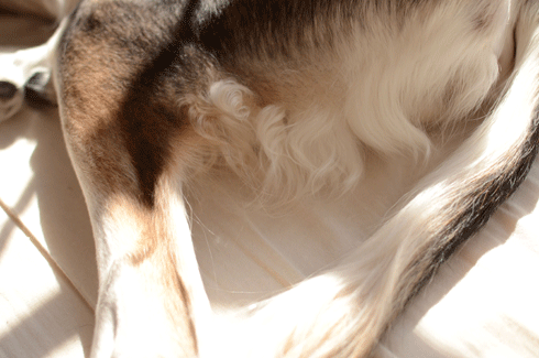 d0016727_14491090.gif