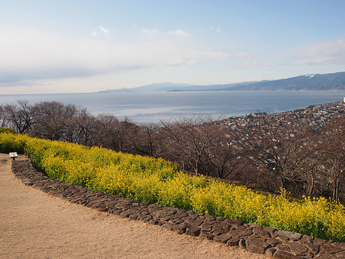 鎌倉散歩　#19 －二宮・吾妻山公園－ _b0169330_21562751.jpg