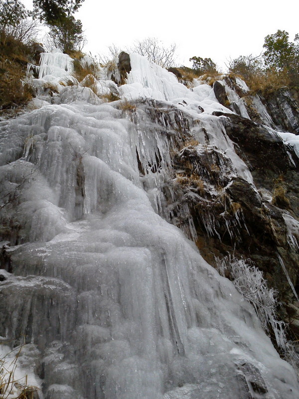 b0168843_8284916.jpg