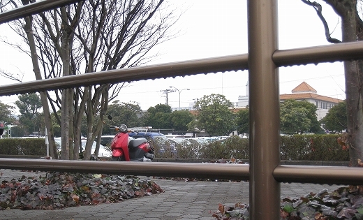 冷たい雨 （クラス会の案内）_e0228147_2221207.jpg