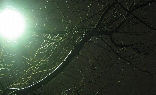 e0228147_22213970.jpg