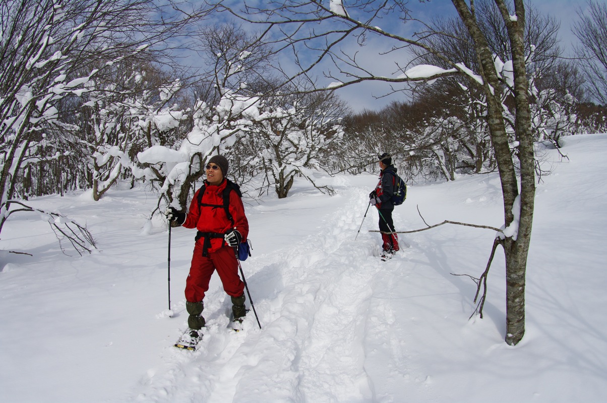 広島県民の森スノーシューハイク（毛無山）_a0009554_231551.jpg