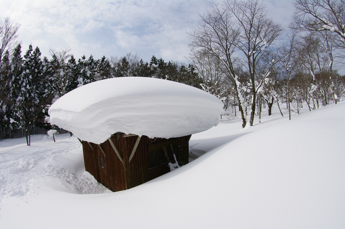 広島県民の森スノーシューハイク（毛無山）_a0009554_23162721.jpg