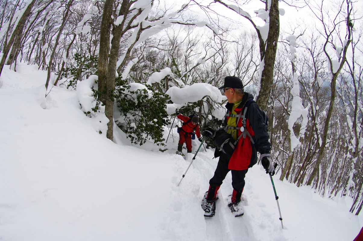 広島県民の森スノーシューハイク（毛無山）_a0009554_2394630.jpg