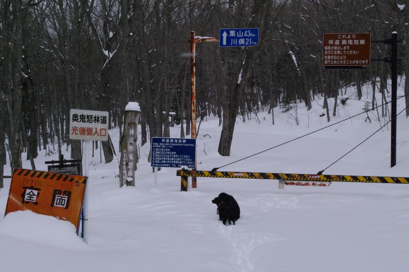 極寒の氷点下から温暖な南房総へ。_e0142754_7312282.jpg