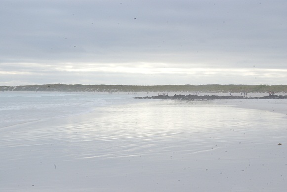 a0161360_91271.jpg