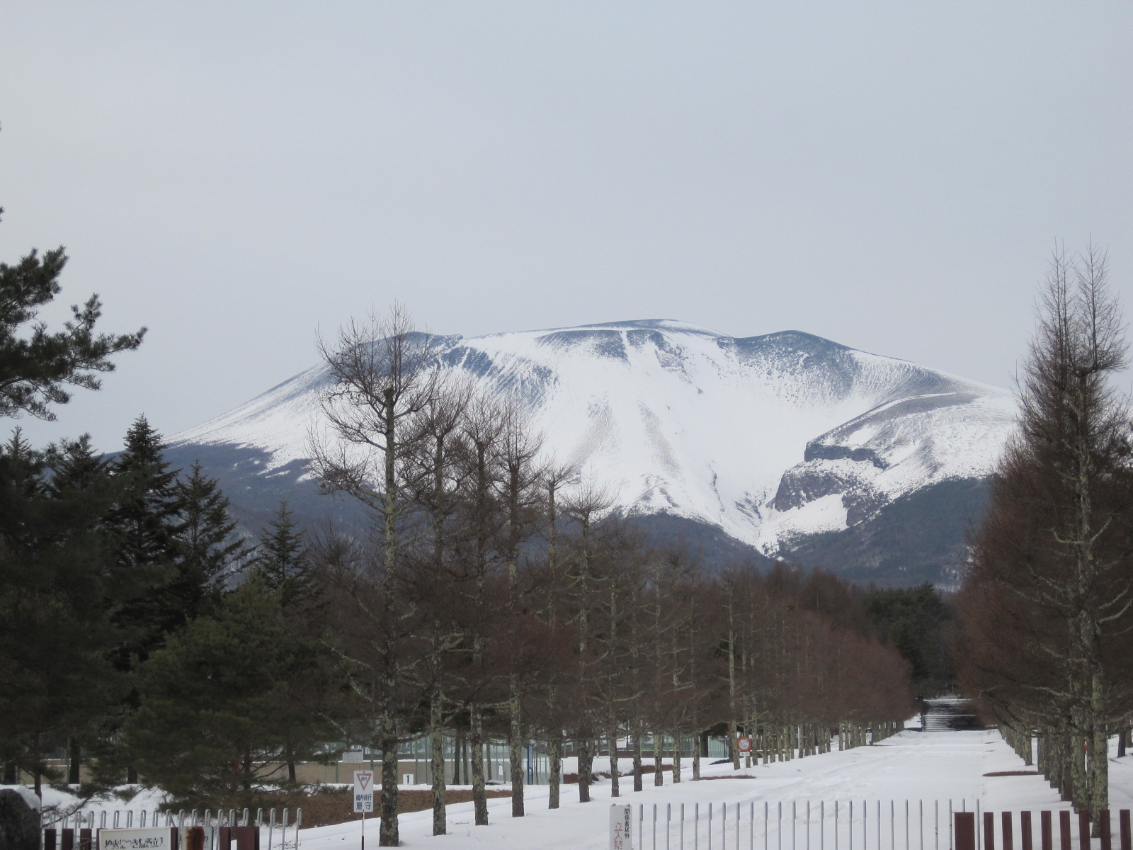 f0236260_1418748.jpg