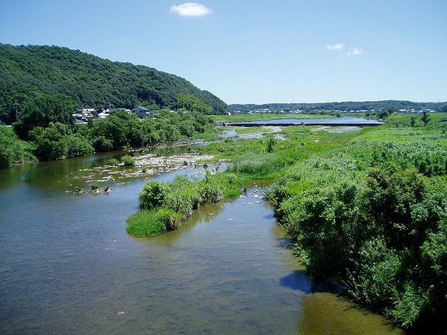 a0129562_14114041.jpg