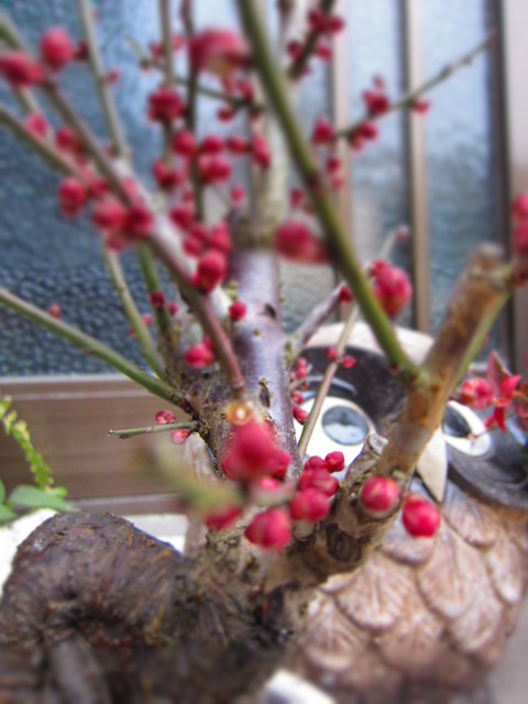 b0217364_0491741.jpg