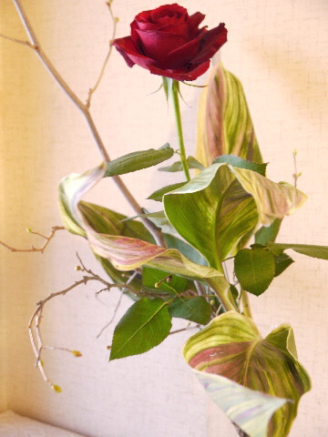 e0086864_232641100.jpg