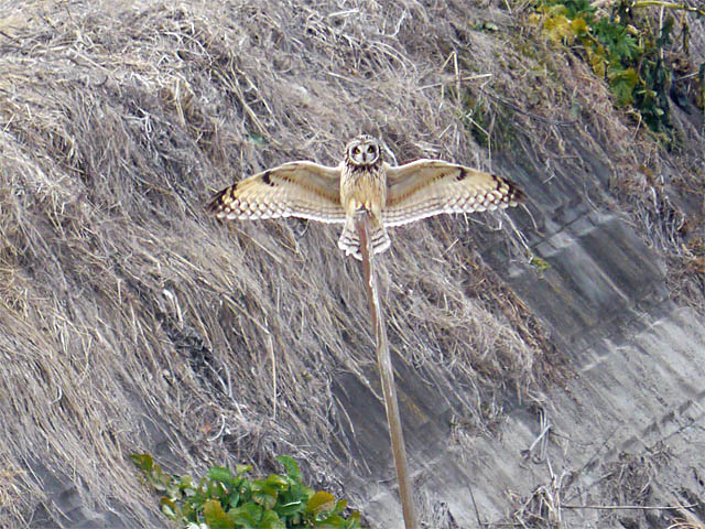 f0199866_22115714.jpg